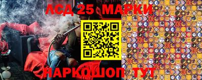гидропоника Будённовск