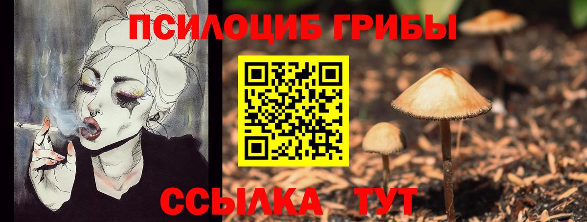 Новоуральск  Галлюциногенные грибы мицелий  Вход с VPN 